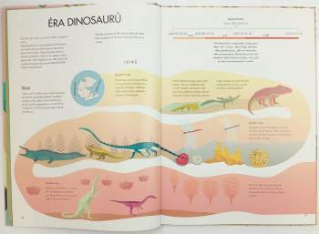 Cristina M Banfi: Objevujeme dinosaury