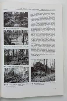 Milan Novobilský: Obléhání hradu Lopaty