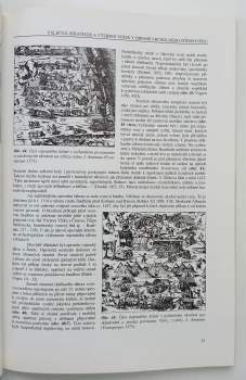 Milan Novobilský: Obléhání hradu Lopaty
