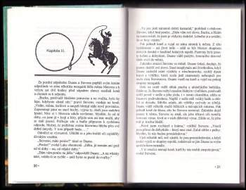 Zane Grey: Obránce "Osamělé hvězdy"
