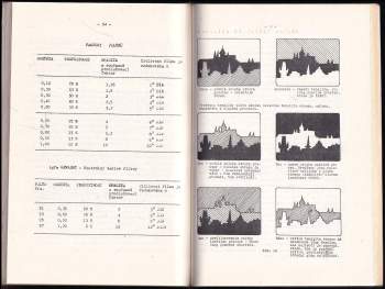 Ludvík Baran: Obraz ve filmu
