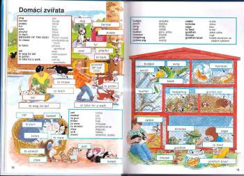 Obrázkový anglicko-český slovník