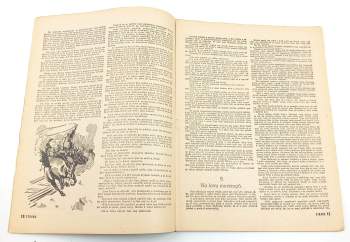 M. B. Buttler: Obrázkový cowboy, Rozruch 139, ročník III.