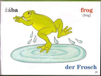 Edita Plicková: Obrázkový slovník