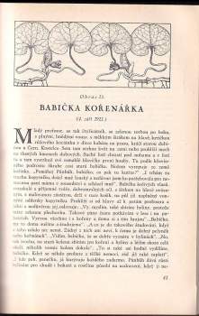 Josef Velenovský: Obrázky