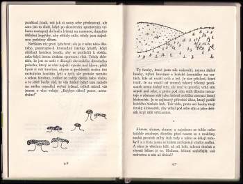 Karel Čapek: Obrázky z domova