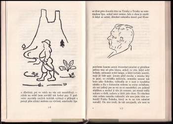 Karel Čapek: Obrázky z domova