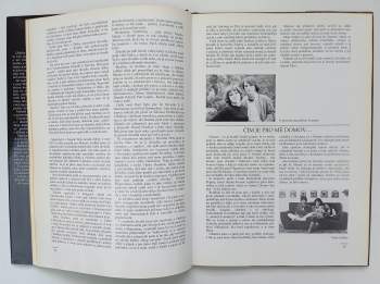 Iva Hüttnerová: Obrázky z lásky