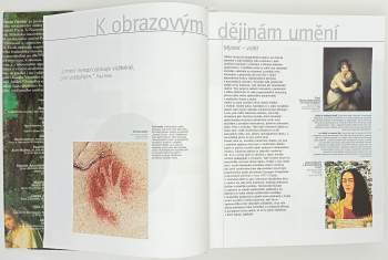 Claude Frontisi: Obrazové dějiny umění