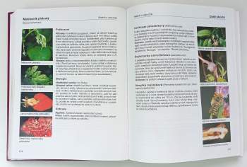 Milan Hluchý: Obrazový atlas chorob a škůdců ovocných dřevin a révy vinné