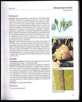 Milan Hluchý: Obrazový atlas chorob a škůdců ovocných dřevin a révy vinné