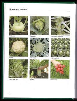 Jaroslav Rod: Obrazový atlas chorob a škůdců zeleniny střední Evropy