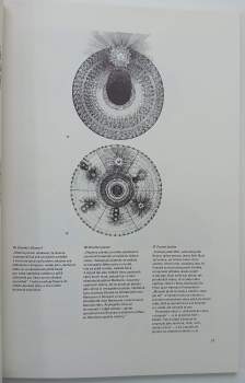 Obrazový atlas hermetismu