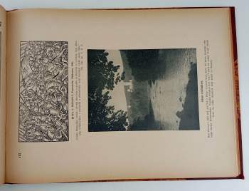 František Palacký: Obrazy k české historii