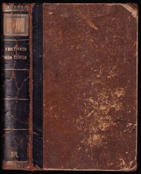 Obrazy z kulturních dějin českých