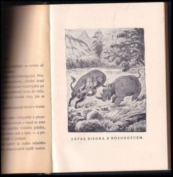 Rudolf Richard Hofmeister: Obrazy z pravěku země české