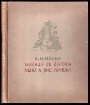Karel Hynek Mácha: Obrazy ze života mého