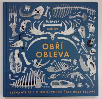 Obří obleva