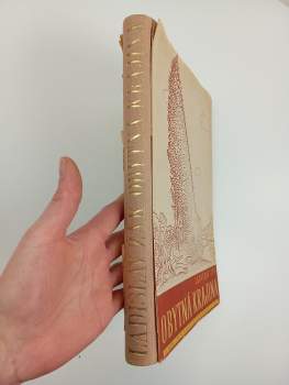 Ladislav Žák: Obytná krajina