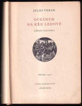 Jules Verne: Oceánem na kře ledové