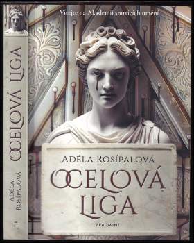 Ocelová liga