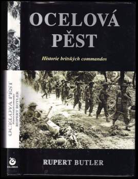 Ocelová pěst