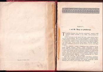 Jules Verne: Ocelové město