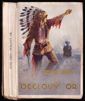 Ocelový oř