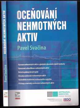 Pavel Svačina: Oceňování nehmotných aktiv