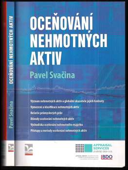 Oceňování nehmotných aktiv