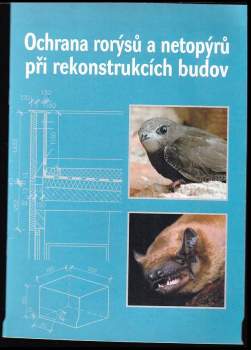 Ochrana rorýsů a netopýrů při rekonstrukcích budov