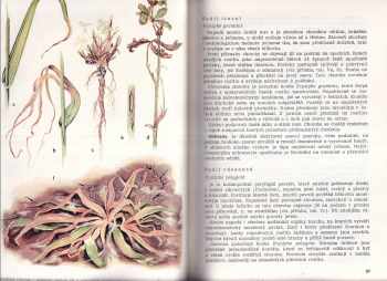 Andrej Hurňák: Ochrana rostlin