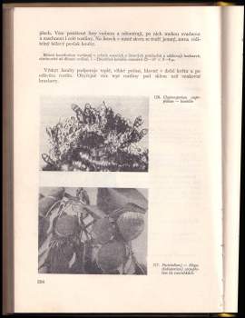 Josef Peiker: Ochrana rostlin v zahradnictví