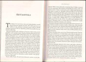Lee Child: Ochránce