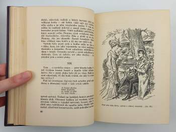 Petr Nikolajevič Krasnov: Od carského orla k rudému praporu