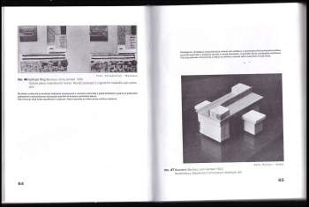 László Moholy-Nagy: Od materiálu k architektuře