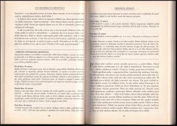 Osho: Od medikací k meditaci