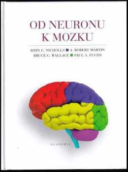 Od neuronu k mozku