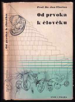 Od prvoka k člověku