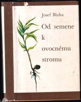Od semene k ovocnému stromu