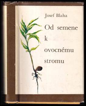 Od semene k ovocnému stromu