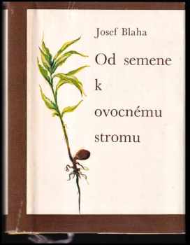 Od semene k ovocnému stromu