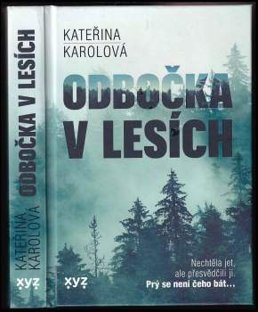 Odbočka v lesích