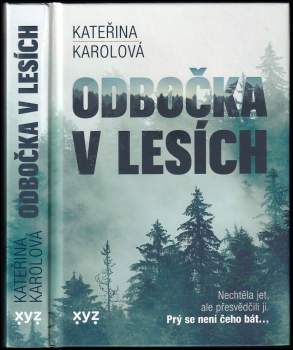 Odbočka v lesích