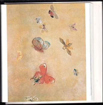 Věra Laudová: Odilon Redon