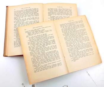 Karl May: Odkaz posledního Inky