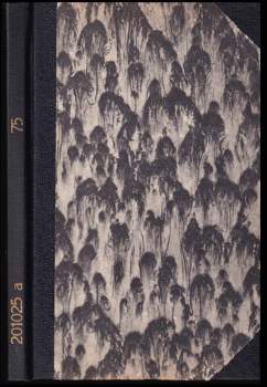 Odlévání ocelových ingotů