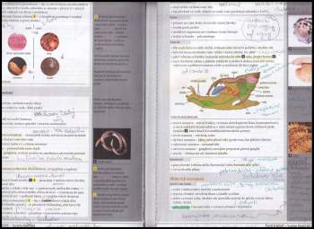 Marika Benešová: Odmaturuj! z biologie