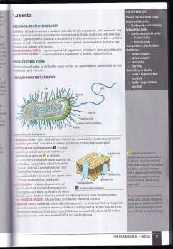 Marika Benešová: Odmaturuj! z biologie