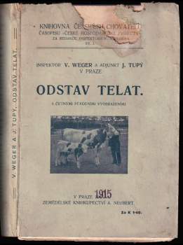 Odstav telat